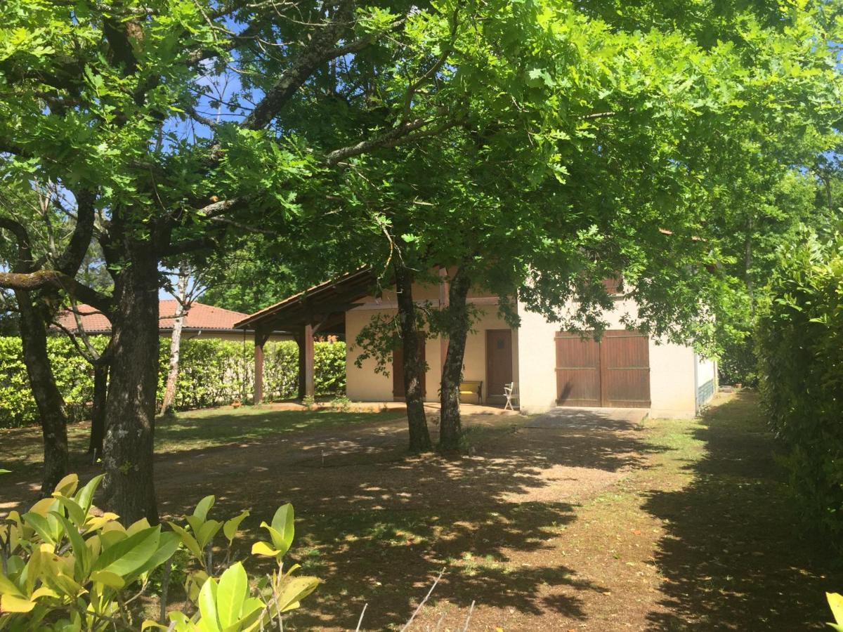 Villa Climatisee Et Wifi Gujan A 5 Mn Du Bassin D'Arcachon Eksteriør billede